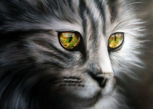 10363448_763897130299268_8008604590893059815_o