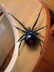 554415_379915255364126_1365385480_n